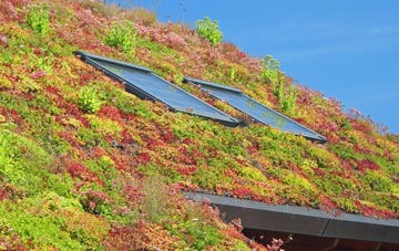 Onecote living roof systems